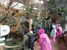 zoo děčín